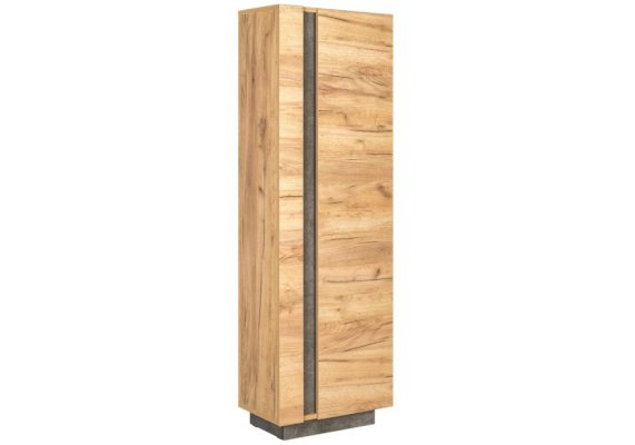 Комбинированный шкаф Арчи 10.05 (Woodville)